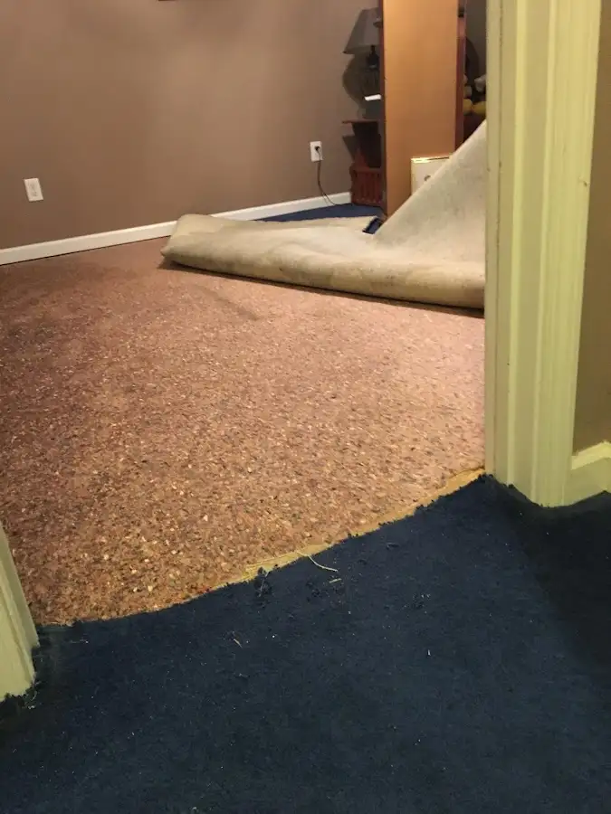 Carpet pad removal revealing water damage during Water Mitigation Services in Eureka