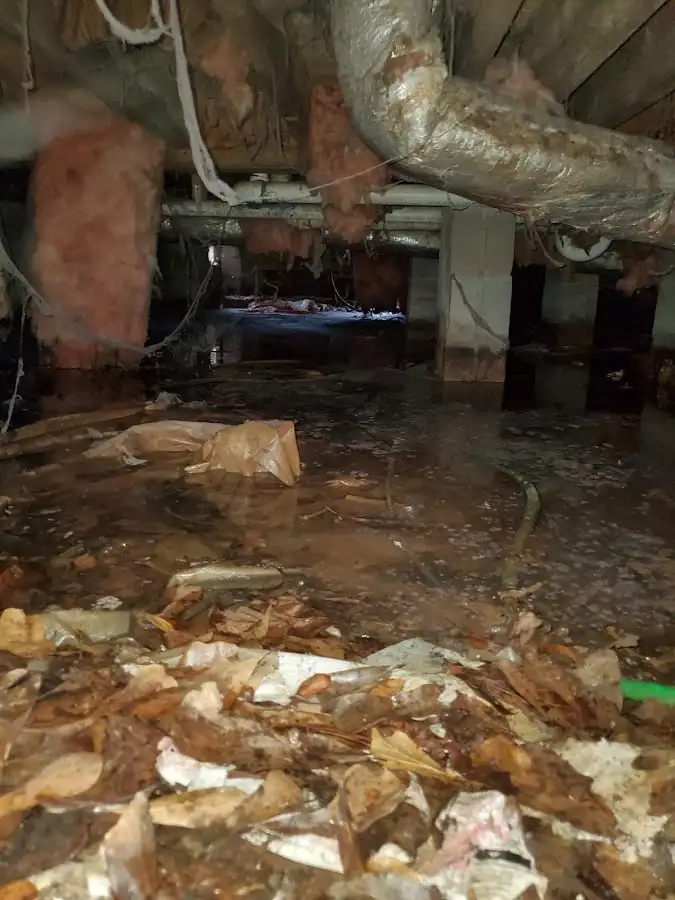 Crawl space flood assessment for Leak Detection & Repair in Eureka